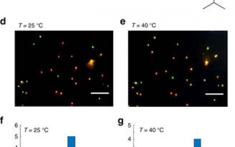 Nat.Commun：用机械响应性聚合物成像单个纳米结构的瞬态热