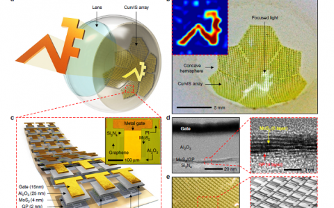 Nat. Commun.：利用高密度MoS2-石墨烯曲面图像传感器阵列制备的人眼激发软光电子器件