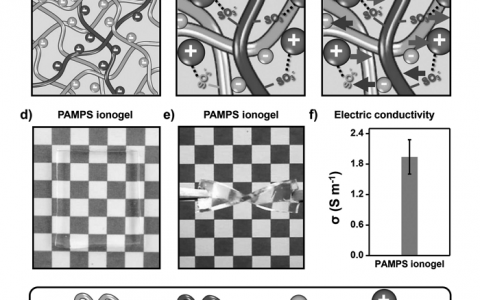 Adv. Mater.：鱼与熊掌兼得-兼具优异机械强度和高电导率的透明离子液体凝胶的构筑