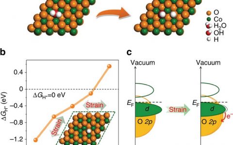 Nature子刊：应力工程活化CoO纳米棒实现高效电催化