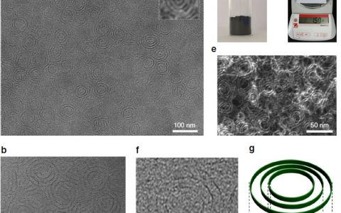 清华王训Nat. Commun.：具有全光谱吸收和光响应性能的原子级尺寸的氧化钼纳米环