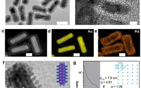 JACS:异质超结构泵浦热电子应用于等离子共振增强催化