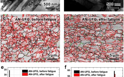 中科院金属所Acta Mater.：探索如何提高Cu-Al合金的疲劳强度