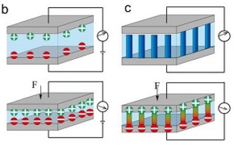 南方科技大学郭传飞老师团队Materials Today Physics综述：柔性触觉传感器研究进展