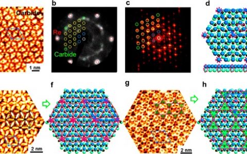 刘忠范院士等J. Am. Chem. Soc.:研究新发现-石墨烯到金属碳化物的新型转变