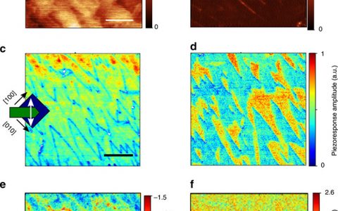 Nature 子刊：场增强铁电畴壁电子电导