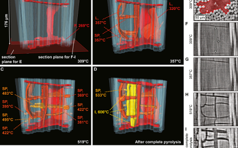 Acta Mater.：陶瓷基复合材料微观结构的3D可视化观察