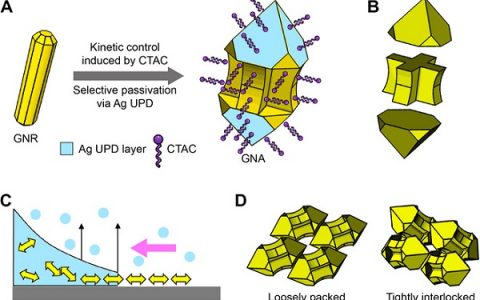 北京大学齐利民课题组：纳米粒子合成与组装方面取得新进展