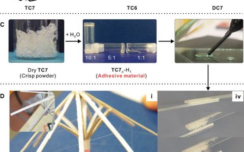 Sci. Adv.：结构水作为超分子聚合中主要共聚单体的应用