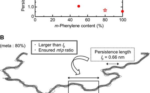 Science Advance:用于下一代燃料电池的柔性聚苯基质子传导膜的设计