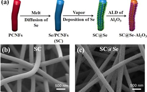 Nano Energy：原子层沉积制备高负载量超稳定自支撑碳-硒正极用于钠-硒电池