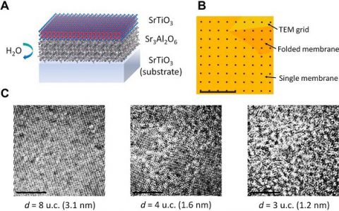 Science Advances: 钙钛矿薄膜中二维限制的晶体结构