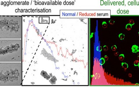 ACS Nano：生物基质中纳米粒子的表征