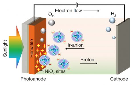 崔春华教授Nat. Commun：原子级镍-铱双金属活性位点用于光电催化析氧-沟通均相催化与异相催化的桥梁