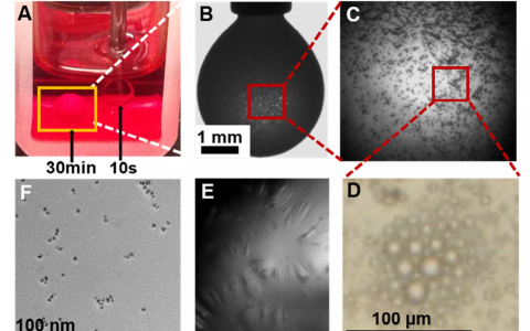 Nano Lett.:液液界面处纳米粒子阻塞的动力学转变