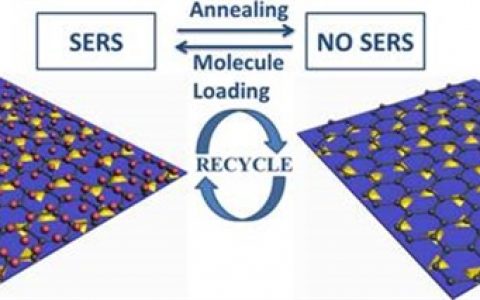 ACS Appl. Mat. Inter. :石墨烯增强贵金属的热稳定性用于可循环利用SERS基底