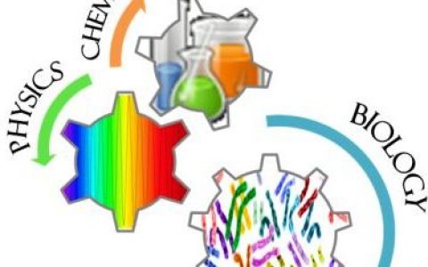 中国工程院2017年院士增选名单