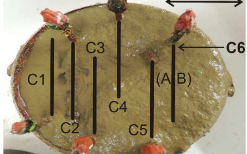 Corros. Sci. :低碳钢在海水和沉淀物界面处的腐蚀机理和动力学