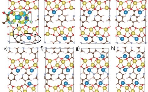 Adv. Energy. Mater. ：实验计算两重奏-Na2PDC用于钠电有机负极及其充放电原理