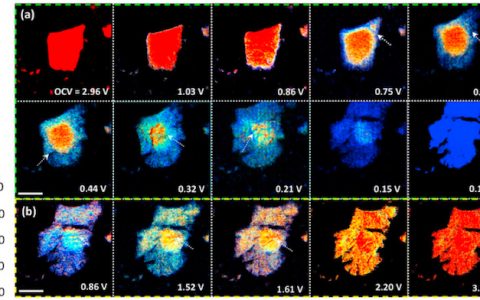 Nano Energy：原位表征技术揭示钠离子电池中硫化镍负极首次不可逆容量的成因