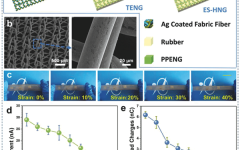 北京科技大学Adv. Funct. Mater:电磁屏蔽复合纳米发电机助力人体健康监测和保护