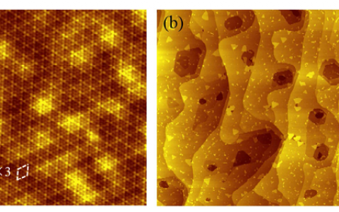 北京大学王健课题组与合作者：在大面积单层二硒化铌晶体中观测到伊辛超导和量子格里菲思奇异性的共存