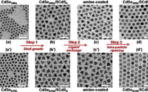 J.Am. Chem. Soc.：理想的CdSe/CdS核壳结构纳米晶的合成及光学性质研究