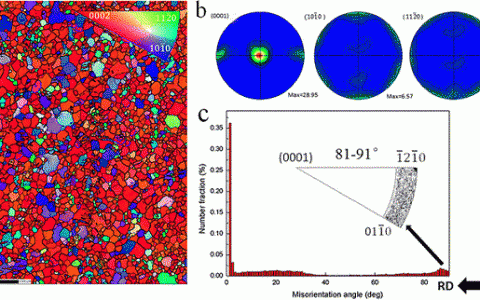 清华大学唐国翌Metall. Mater. Trans. A：一种加工镁合金的新方案探究-电脉冲处理