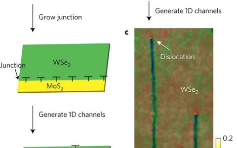 Nature 子刊：利用位错合成嵌入二维材料中的一维纳米线