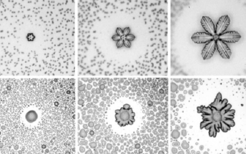 中科院化学所王健君课题组：首次揭示冷表面冰晶生长模式