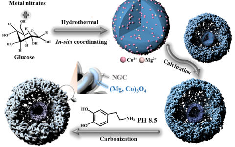 陈忠伟教授团队ACS Energy Letters金属-空气电池最新进展: 催化位点和本征活性协调共优化双功能氧催化剂性能
