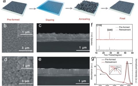 西安交通大学吴朝新教授Adv. Funct. Mater封底: 类卤素诱导的钙钛矿薄膜的可控重结晶过程及其在钙钛矿太阳能电池中的应用