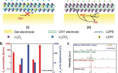 复旦大学彭慧胜Adv.Mater.:锂空气电池循环寿命大幅提高至610圈