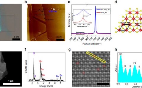 中科院半导体所魏钟鸣Nat. Commun. : 二维铁掺杂二硫化硒磁性半导体