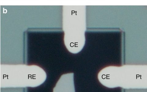 Nature子刊:单个石墨微晶的嵌入可视化