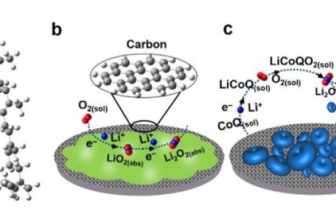 长春应化所彭章泉Adv. Mater.：生物分子辅酶CoQ10催化Li-O2电池高容量、高倍率性能研究