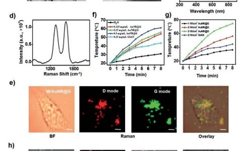 Angew. Chem. Int. Ed.:湖南大学谭蔚泓院士团队发明兼具光热治疗和抵抗炎症反应的AuNR@G-P-aspirin纳米胶囊