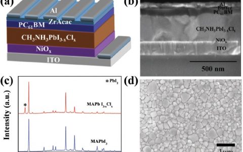 中科院半导体所Energ. Environ. Sci.：有效的电荷提取技术提升钙钛矿太阳能电池的效率