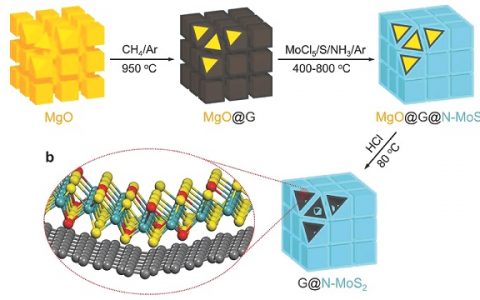 清华大学张强教授Adv. Mater.：三维介孔范德华异质结用于电催化
