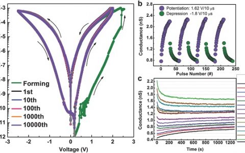 华中科技大学郭新教授Adv. Funct. Mater.：二阶忆阻器实现突触的抑制性三脉冲STDP学习规则
