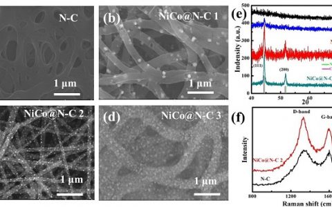 苏州大学Adv. Funct. Mater.:NiCo合金纳米颗粒镶嵌N掺杂碳纳米线作为高效稳定的氧催化剂
