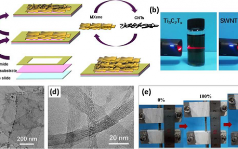 南京工业大学董晓臣ACS Nano：基于过渡金属碳化物和碳纳米管复合材料的应变传感器