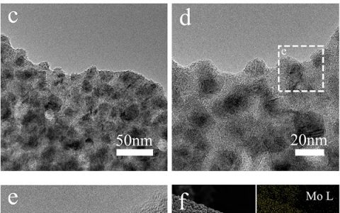 Nano Energy:集成OER与HER活性组分构建异质结用作高效的全解水催化剂