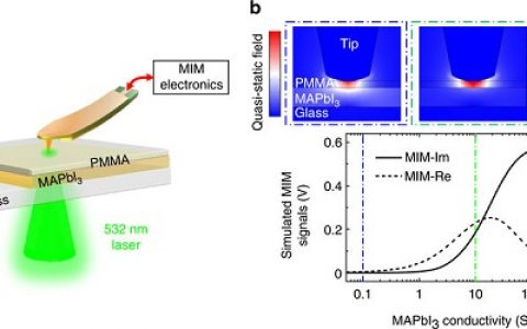 Nat. Commun. : 晶界对有机-无机钙钛矿膜效率和稳定性的影响