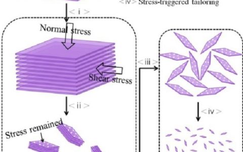 国家纳米中心:本征量子片规模制备研究取得进展