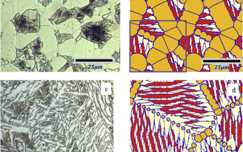 Acta Mater.:相变诱导塑性(TRIP)钢中同时形成贝氏体和铁素体的相场模拟