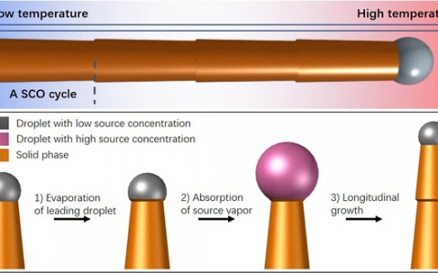 Nano. Lett.:单晶硅纳米线确实可以长到厘米长度!