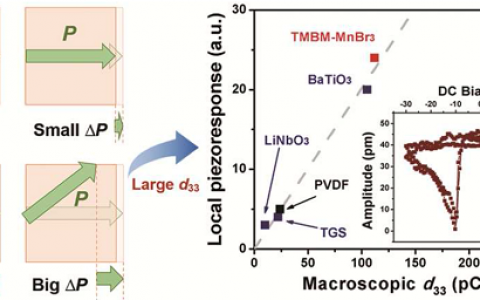 东南大学熊仁根教授J. Am. Chem. Soc.：无铅分子铁电薄膜中的巨大压电效应