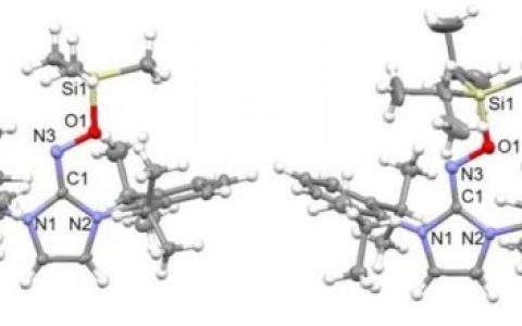 可充电电池：在它消失之前捕获自由基分子