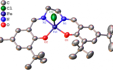 Macromolecules：通过原位引发丙交酯和ε-己内酯聚合的立体选择性催化剂